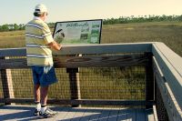 Informational exhibit on marsh boardwalk at Bald Point State Park